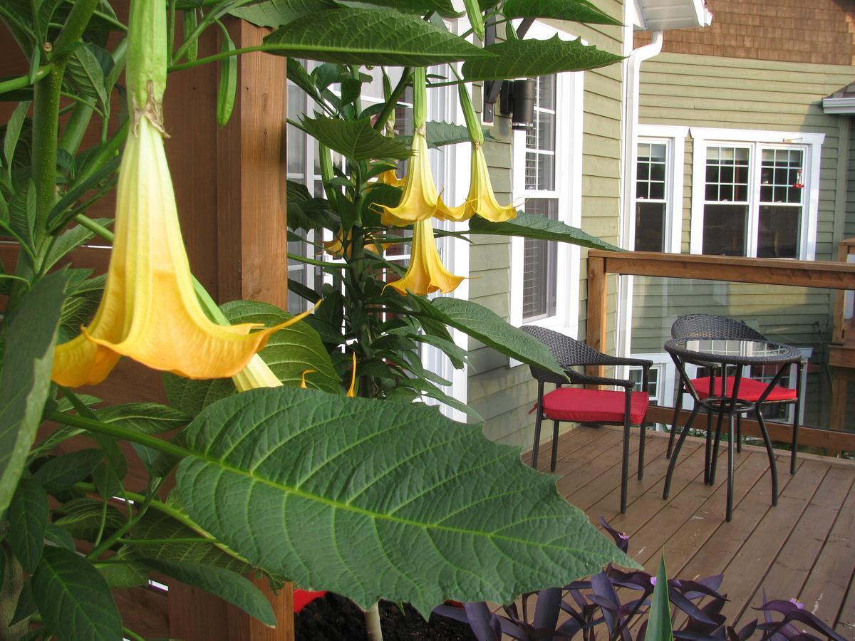 Gi'Temps Couette Et Cafe B&B Granby Εξωτερικό φωτογραφία